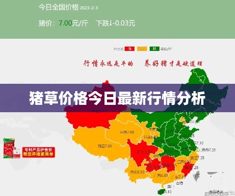 猪草价格今日最新行情分析