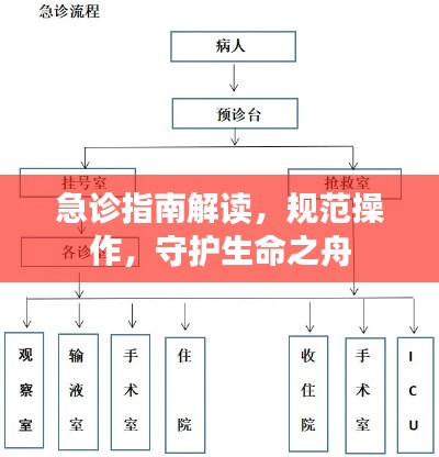 急诊指南解读，规范操作，守护生命之舟