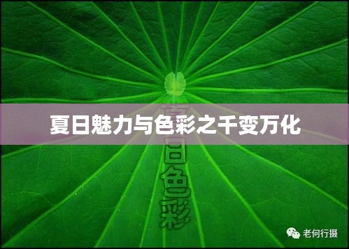 夏日魅力与色彩之千变万化