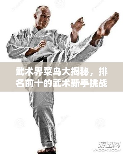 武术界菜鸟大揭秘，排名前十的武术新手挑战者