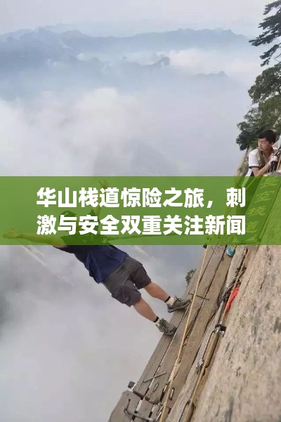 华山栈道惊险之旅，刺激与安全双重关注新闻头条