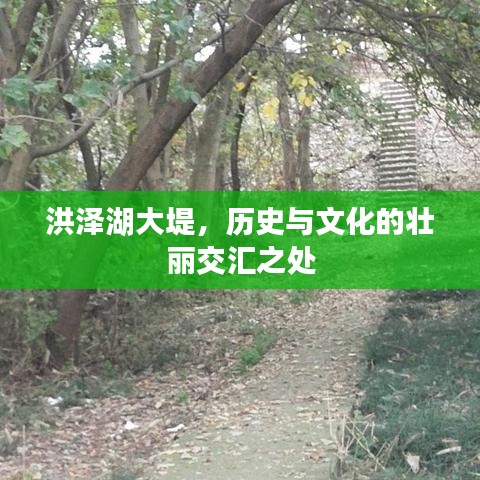 2025年6月 第111页