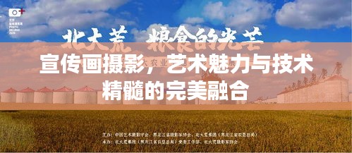 芳兰竟体