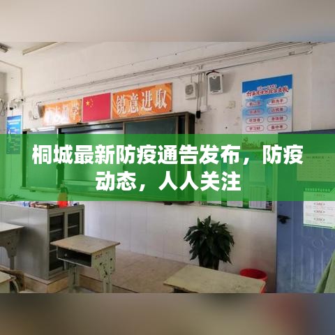 桐城最新防疫通告发布，防疫动态，人人关注