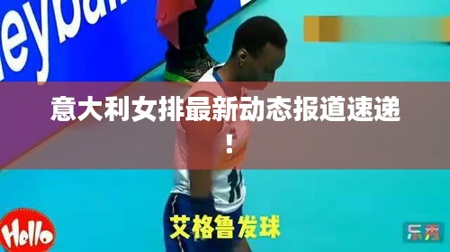纲挈目张