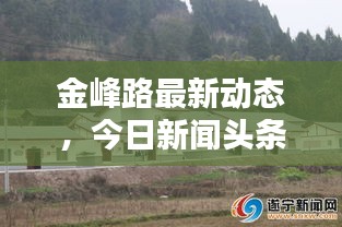 金峰路最新动态，今日新闻头条消息速递