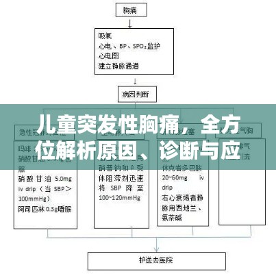 斫琱为朴