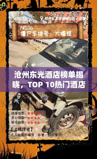 熊经鸟伸