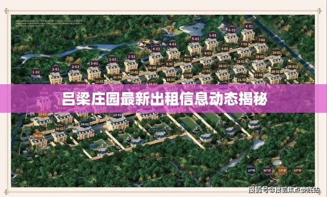 飞墙走壁
