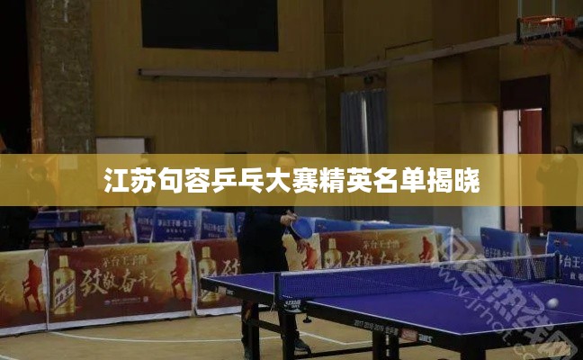 江苏句容乒乓大赛精英名单揭晓
