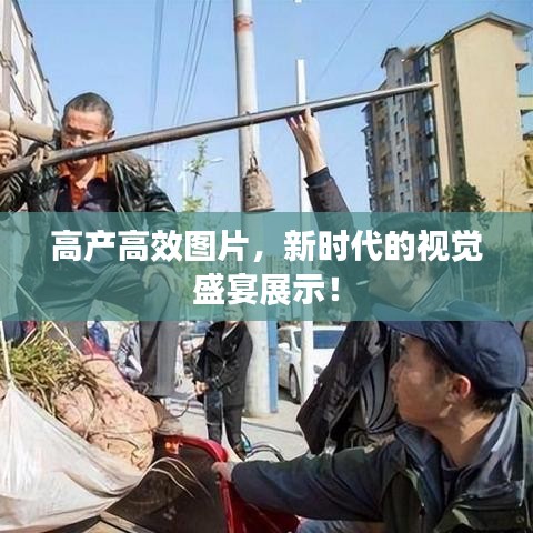 高产高效图片，新时代的视觉盛宴展示！