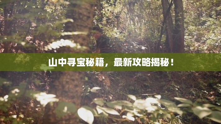 山中寻宝秘籍，最新攻略揭秘！