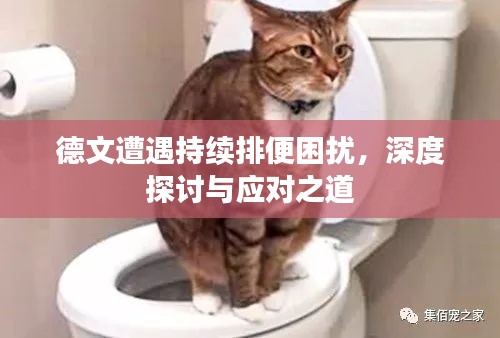 如花似玉