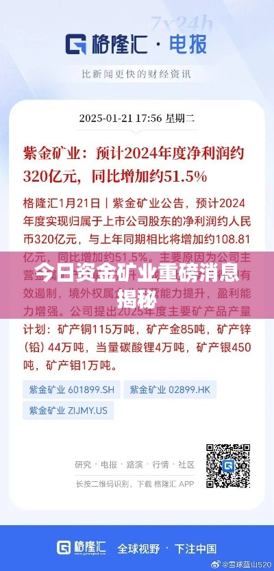 今日资金矿业重磅消息揭秘