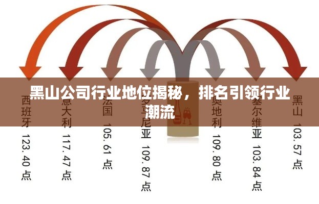 黑山公司行业地位揭秘，排名引领行业潮流