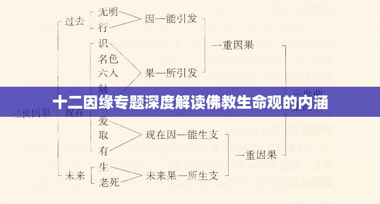 十二因缘专题深度解读佛教生命观的内涵