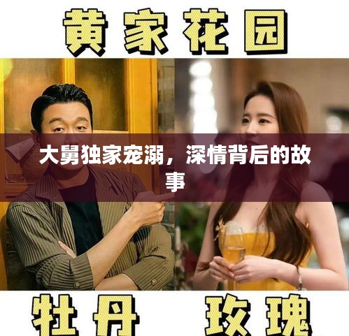 大舅独家宠溺，深情背后的故事