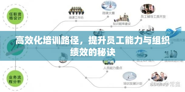 高效化培训路径，提升员工能力与组织绩效的秘诀
