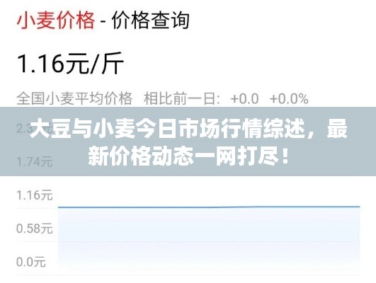 大豆与小麦今日市场行情综述，最新价格动态一网打尽！